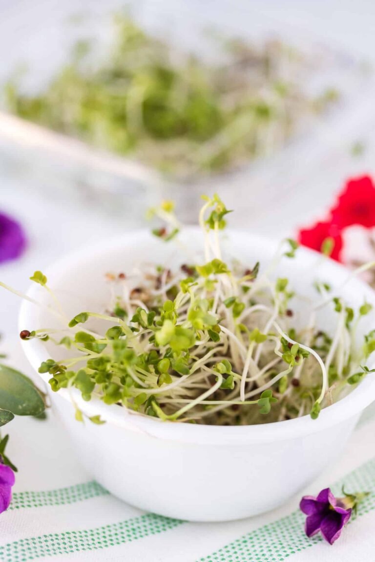 10+ Delicious Ways to Eat Broccoli Sprouts