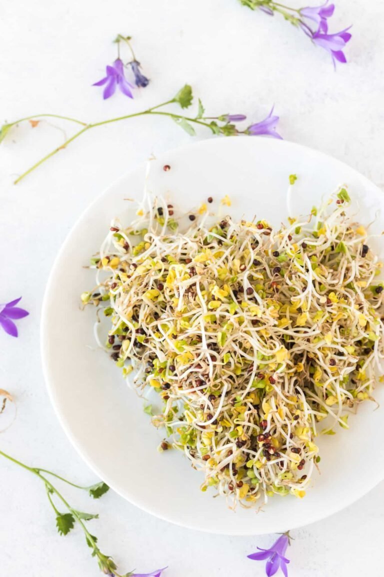 How to Grow Broccoli Sprouts in a Jar (Step-By-Step Guide)